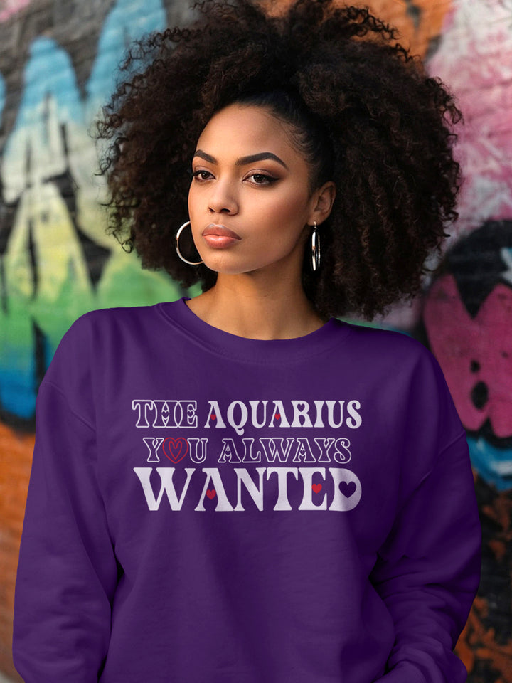THE AQUARIUS YOU ALWAYS WANTED SWEATSHIRT