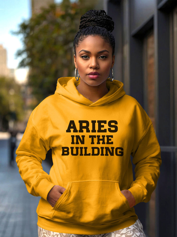 ARIES IN THE BUILDING HOODIE