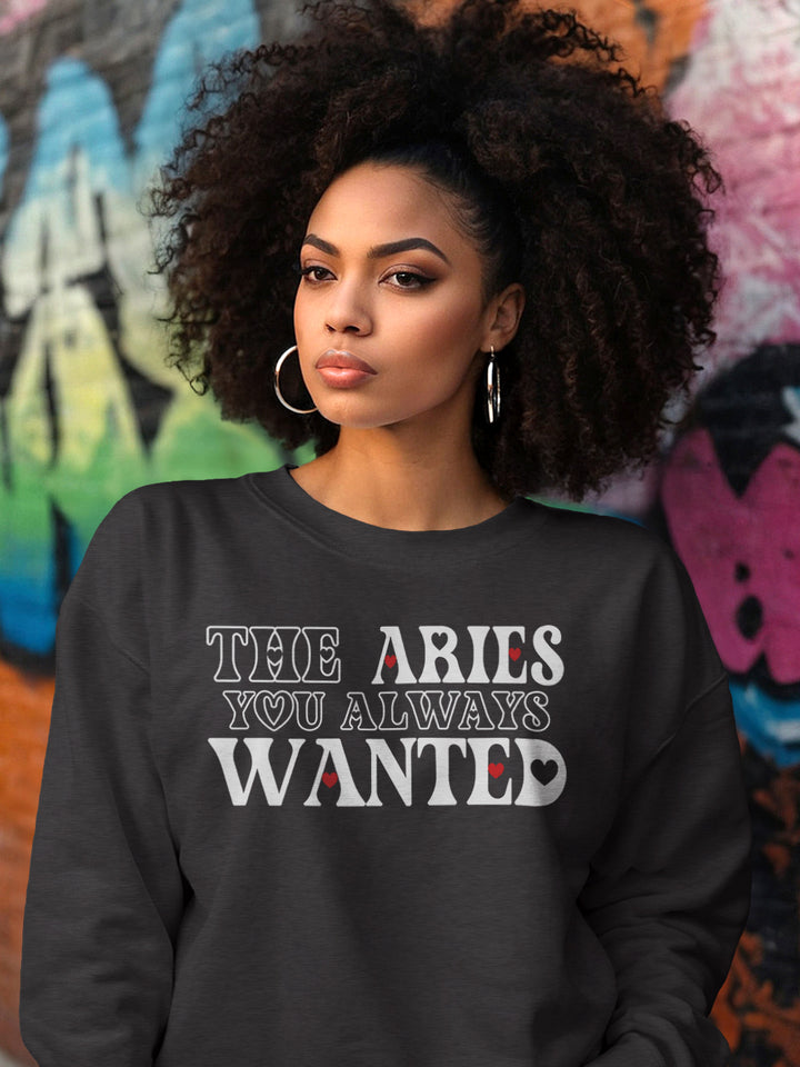 THE ARIES YOU ALWAYS WANTED SWEATSHIRT