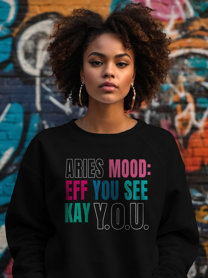 ARIES EFF YOU SEE KAY Y.O.U. SWEATSHIRT