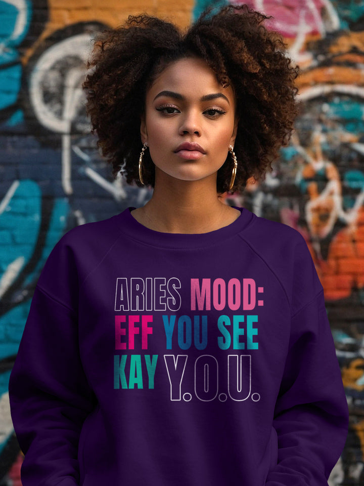 ARIES EFF YOU SEE KAY Y.O.U. SWEATSHIRT